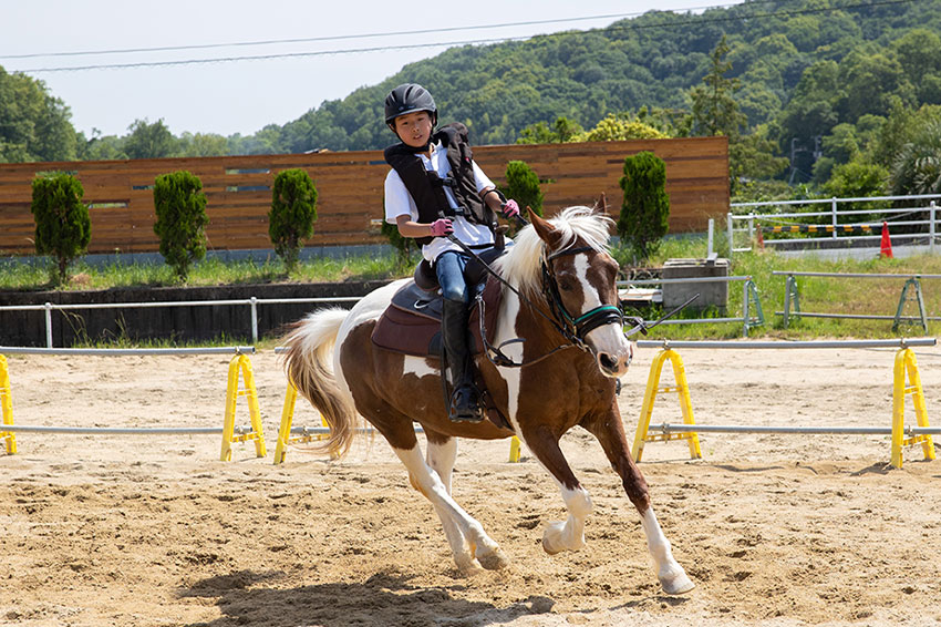 EDUCATION 教育について